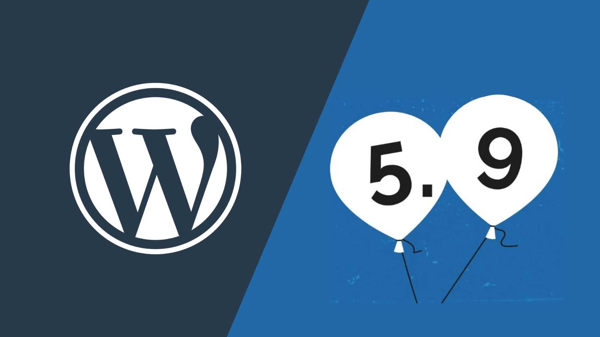 WordPress 5.9 update break website